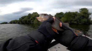 Трофейная рыбалка в ЧУЛКОВО. Рыбалка на спиннинг осенью. Троллинг в один спиннинг на Москва реке.