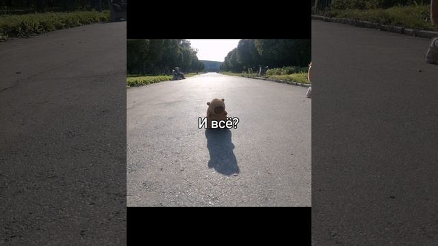 С Днём знаний!