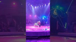 Цирк Филатовых в Кисловодске май 2024
