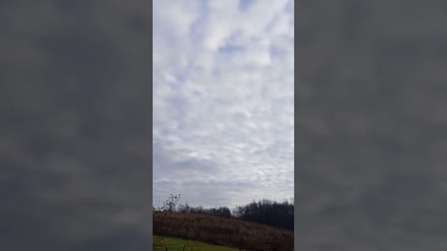 Домик на берегу реки, у леса. смотреть онлайн