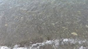 Берег(Coast)(SPS 51) Instrumental