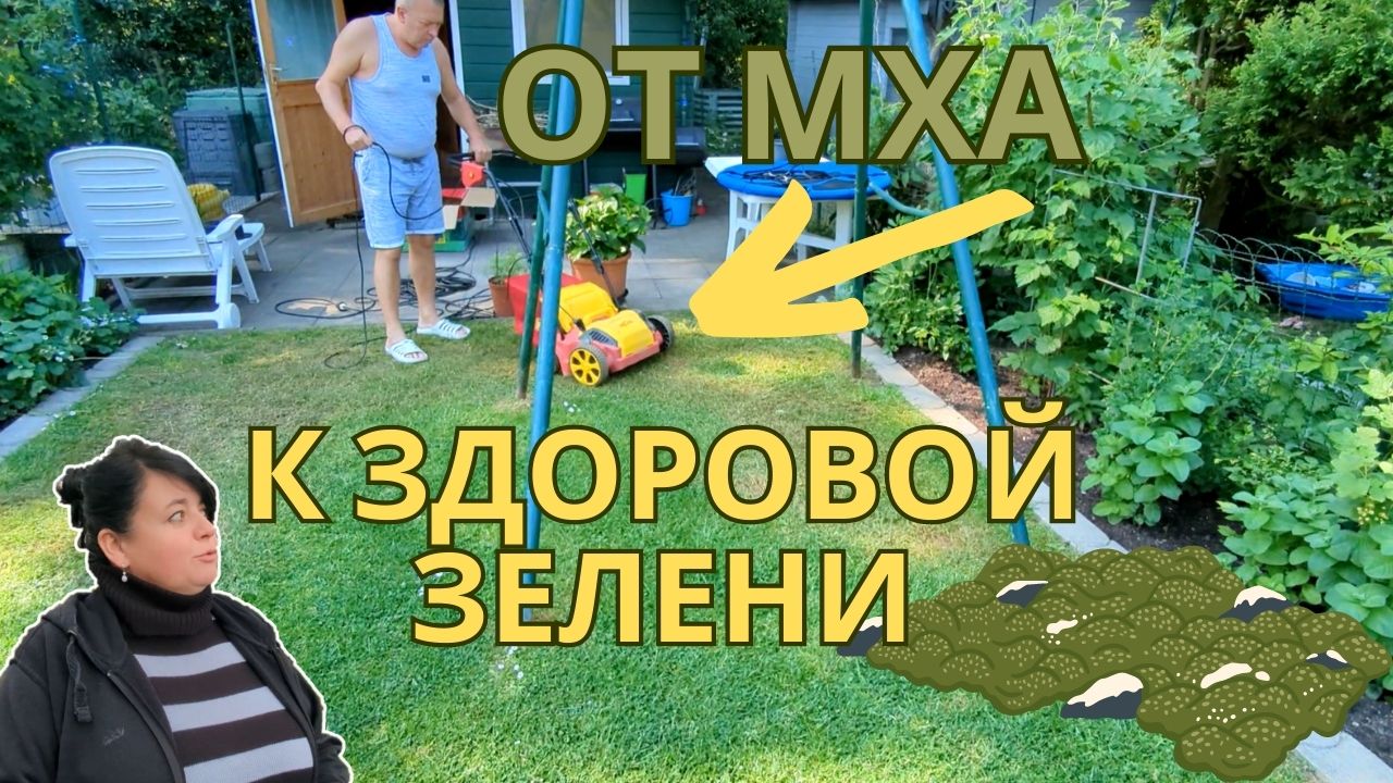И снова Огород ?? Вертикутинг газона - Просто Мария