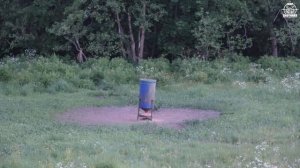 Охота #193 на кабана с вышки, выстрел!