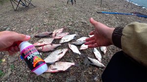 ПОДЛЕЩИК ПОРАДОВАЛ. РЫБАЛКА НА ВОЛЧИХЕ. ФИДЕР.