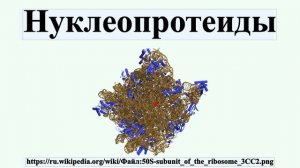 Нуклеопротеиды