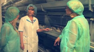 Как производят: Яйцо "Инское"