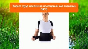 Корсет грудо-пояснично-крестцовый для взрослых ORTO обзор