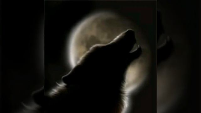 Волки{Малиновый закат} смотреть онлайн