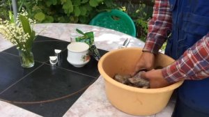 Как пожарить сома. Сом на гриле