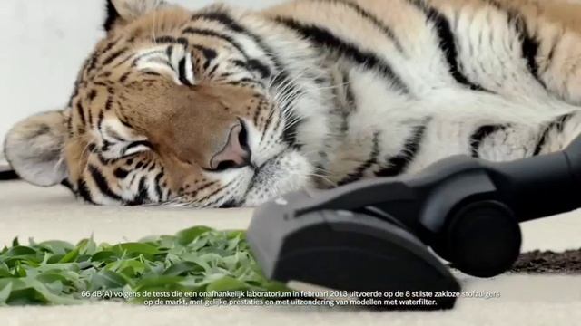 Bosch BGS5SIL66A: de stilste stofzuiger zonder zak - Bosch Relaxx'x ProSilence смотреть онлайн