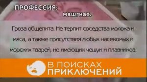 Путешествия по миру.Вокруг света Израиль