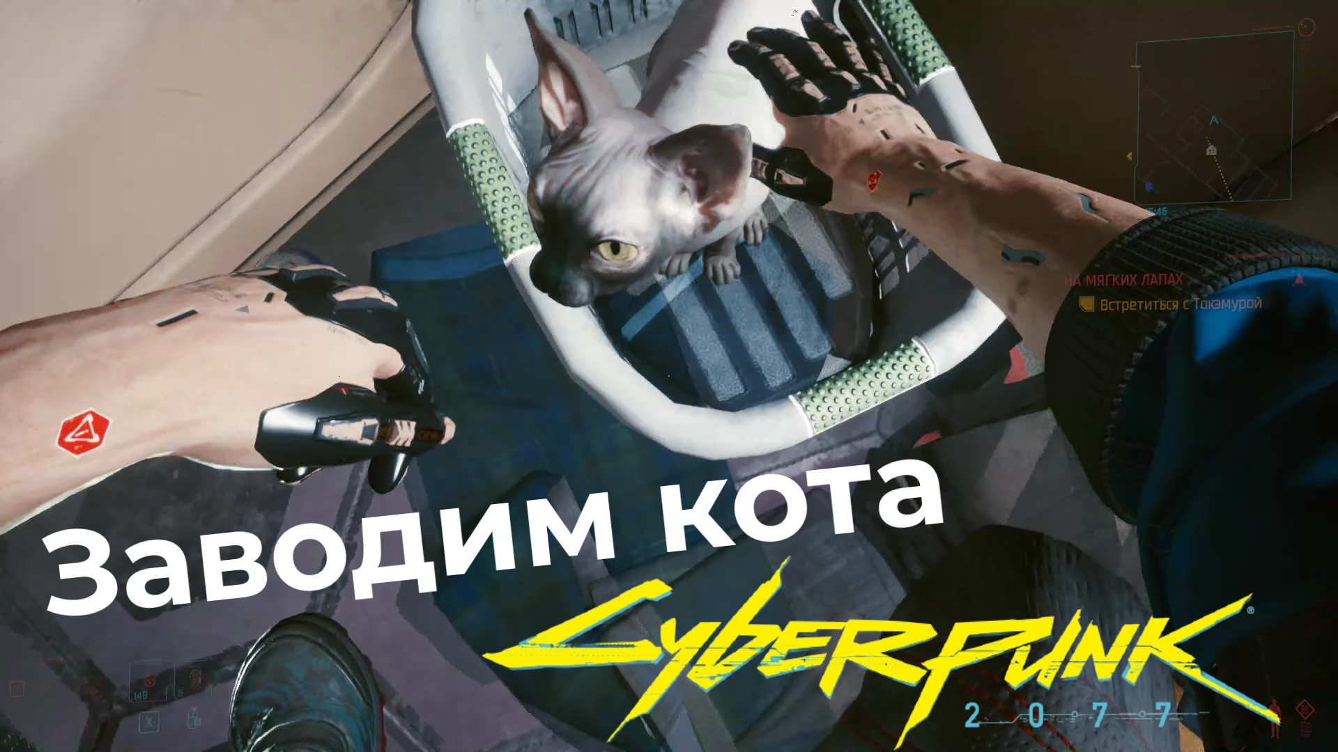 Cyberpunk как приручить кота фото 97
