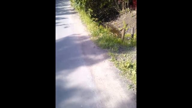 Монолитная плита въезда на участок. п. Михайловское . смотреть онлайн