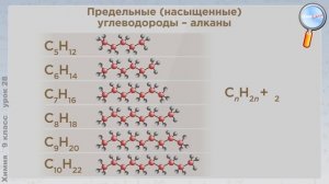 Химия 9 класс (Урок№28 - Органическая химия. Углеводороды. Предельные (насыщенные) углеводороды.)