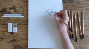 Daler-Rowney Simply: Draw A Bird