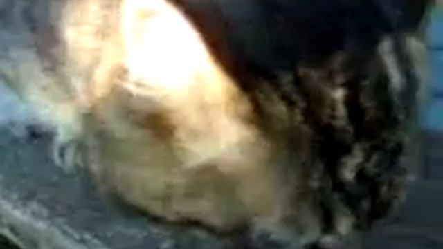 Мурка жрет семечки смотреть онлайн