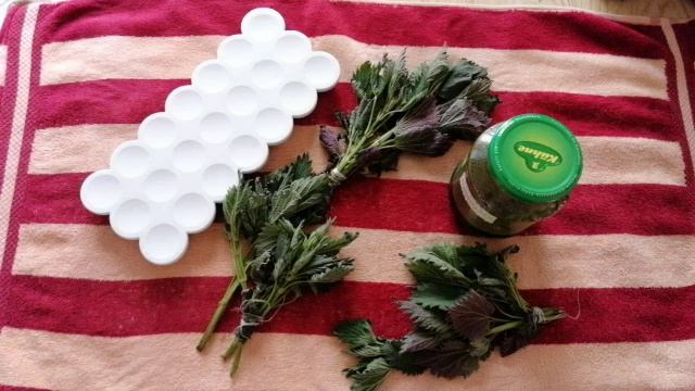 Крапива для канареек смотреть онлайн