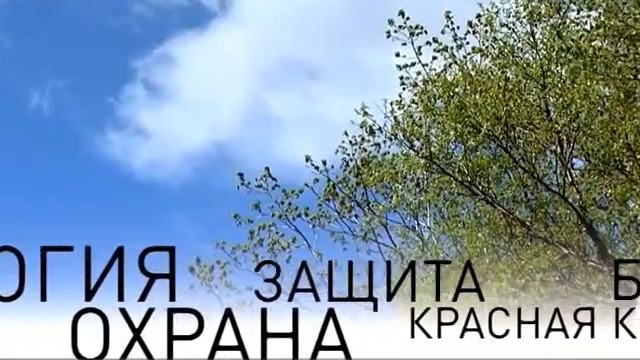 Заповедники Приморья смотреть онлайн