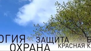 Заповедники Приморья