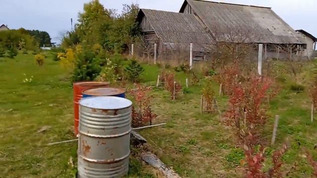 Сезон 2022. Часть 26... ОКТЯБРЬ. ГОЛУБИКА, ОСТАТКИ - СЛАДКИ!..) смотреть онлайн