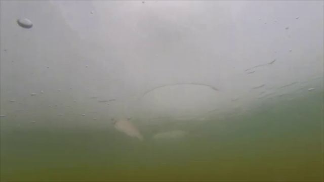 МОЖАЙСКОЕ ВОДОХРАНИЛИЩЕ 22 МАРТА 2014 ГОДА смотреть онлайн