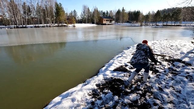 ЛЕГКО ЛИ ПОЙМАТЬ РЫБУ НА ПЛАТНИКЕ? Форель на спиннинг поздней осенью.