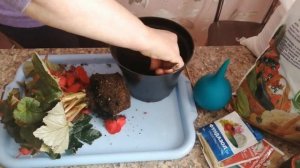 Бегония домашняя. Пересадка.