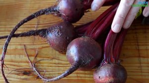 Мало кто знает❗️ ЛУЧШИЕ ПРОДУКТЫ, полезные для печени! Как восстановить и очистить печень?