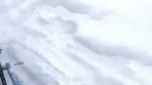 Мотобуксировщик толкач "Альбатрос XL" и "Альбатрос-М".  Дорога на рыбалку и обратно.