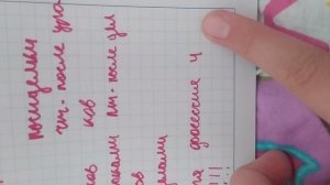 Коротко про лагерь басиков ?️