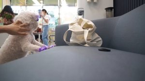 КАК ЖИВЕТСЯ РИЭЛТОРУ В ЮЖНОЙ КОРЕЕ. ОДИН ДЕНЬ ИЗ ЖИЗНИ