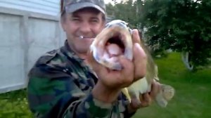 Песня рыбака про судака