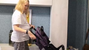 Прогулочная коляска Babyton Comfort.