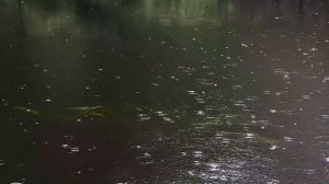 АТМАРИТМЫ. Исцеление Души на каждый день.