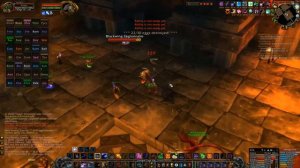 ДРУИД ПРОТИВ ВОИНА. Гайд на ферала танка WoW Classic. 2 часть