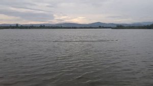 ФСР ЭКО-МИНИ  Болонева С.В.