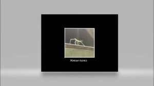 КАК СДЕЛАТЬ ДЕМОТИВАТОР В ЛЮБОМ ФОТОРЕДАКТОРЕ | Понятный и Быстрый туториал.