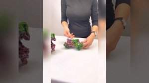 Биокерамика цветная. Видеообзор.