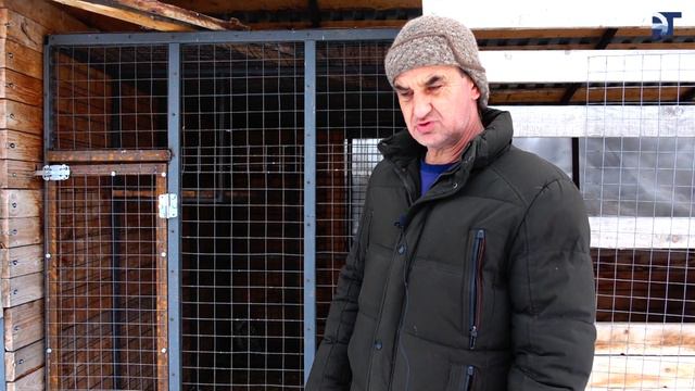 Раненный ястреб смотреть онлайн