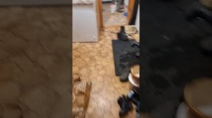 ремонт напольного котла навьен