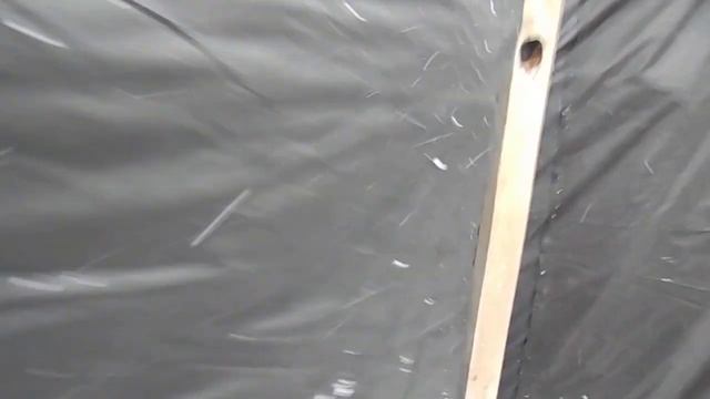 Укрытие китайского лимонника на зиму (2019). смотреть онлайн