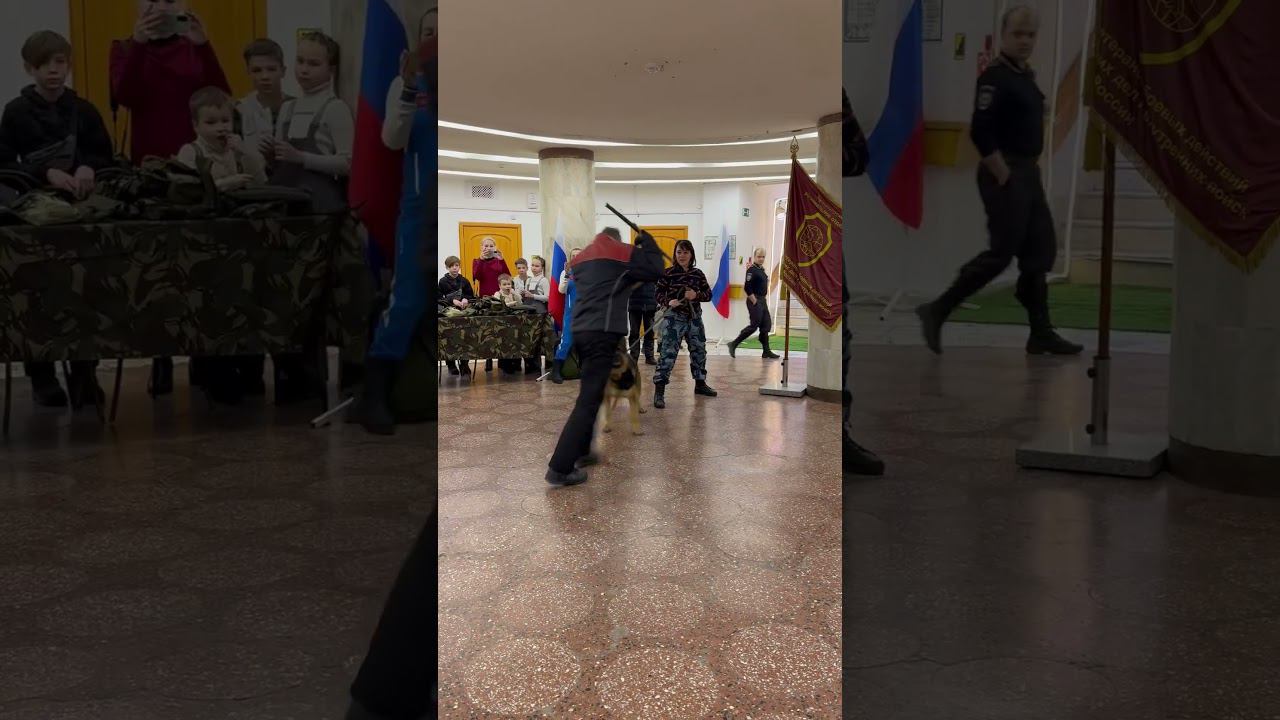 Задержание. Работа кинолога. Показательное выступление смотреть онлайн