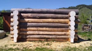 СРУБ ИЗ ОСИНЫ (2021)