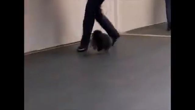 Эстель. 3,5 месяца смотреть онлайн