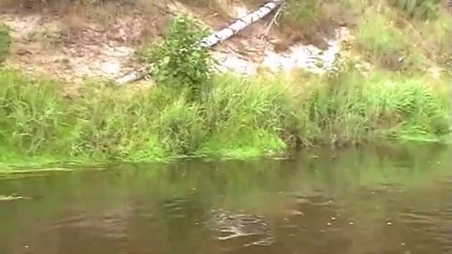 Большая Кокшага. Марий Эл смотреть онлайн