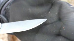 Нож ЧИЖ NEXT SARO. Уличный тест