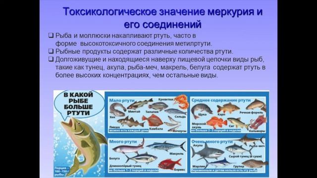 ТСХ 4 курс Лекция 5 Рус смотреть онлайн