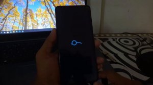 How to Install Lineage OS In Any Xiaomi Phones ft. POCO X3