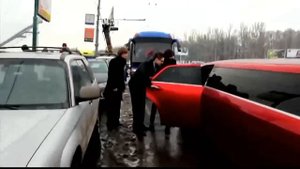 Евгений Курский   Голуби 2018