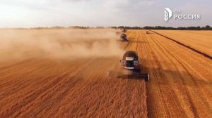 Уборка зерновых 2021 в колхозе "Россия" завершена